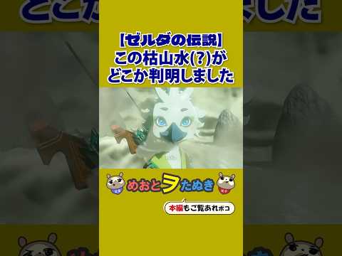 みんな気になるティアキンの枯山水#ティアキン #shorts #考察