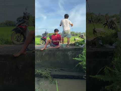 cah kok mutungan 😅 #shortvideo #shortviral