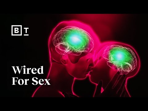 Our primordial drive for sex and love | Helen Fisher