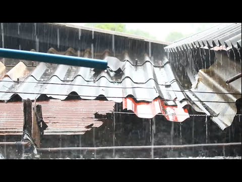 Fall Asleep Fast, Beat Insomnia & Stress | Heavy Thunderstorm Rain on Metal Roof & Powerful Thunder