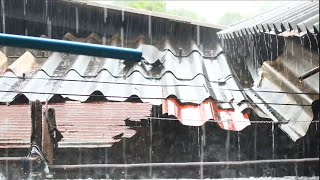 Fall Asleep Fast, Beat Insomnia & Stress | Heavy Thunderstorm Rain on Metal Roof & Powerful Thunder