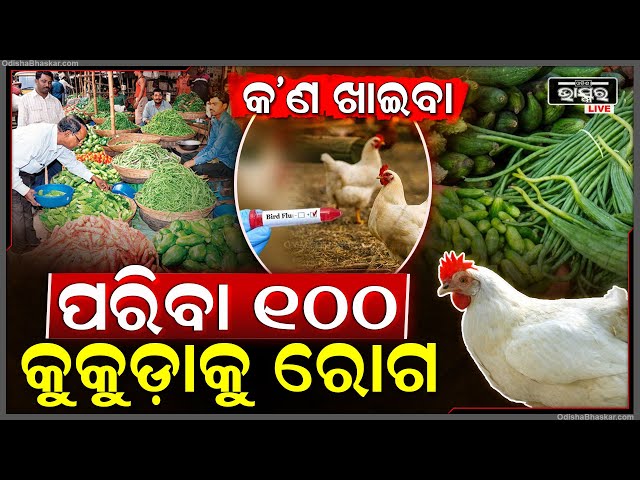 କ'ଣ ଖାଇବା ? ଏପଟେ ପରିବା ୧୦୦କୁ ସେପଟେ କୁକୁଡ଼ାକୁ ରୋଗ...