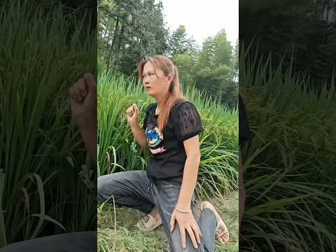 masteran burung viral kocak bikin ngakak hiburan warga +62 fuunyvideos