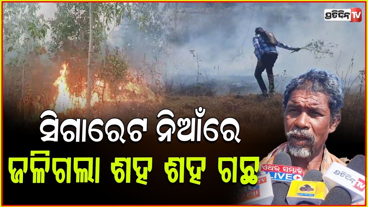 ସିଗାରେଟ ନିଆଁରେ ଜଳିଲା ଜଙ୍ଗଲ , ପାଉଁଶ ହେଲା ଶହ ଶହ ଗଛ ! Forest Fire in Keonjhar