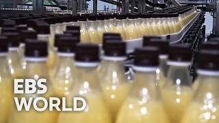 [ENG SUB] The Secret Behind Makgeolli's 150-Fold Sales Increase In 10 Years #PICKDOCU