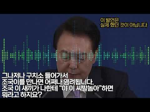 AI 윤석열의 헛소리