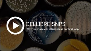 CELLIBRE SNPS: Why we chose cannabinoids as our first natural product