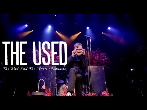 The Used Chords