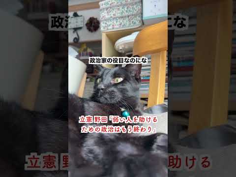 【激怒】立憲 野田「弱い人を助ける政治はもう終わり」