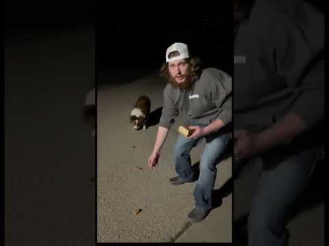 Untitled Facebook Video