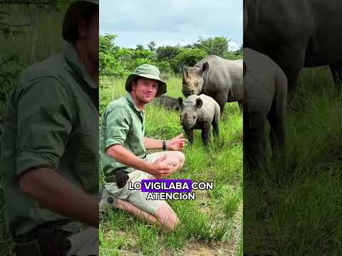 Rhino mother protecting her baby#animals #Friendship #Us