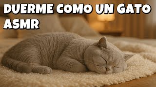DUERME COMO UN GATO 🐱 Ronroneo Real para Dormir 😴 | ASMR con IA