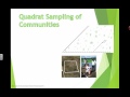 Statistical Tests in Ecological Research