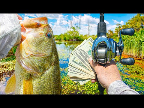 Fishing A Tournament In BIG BASS HEAVEN – Can We Win?