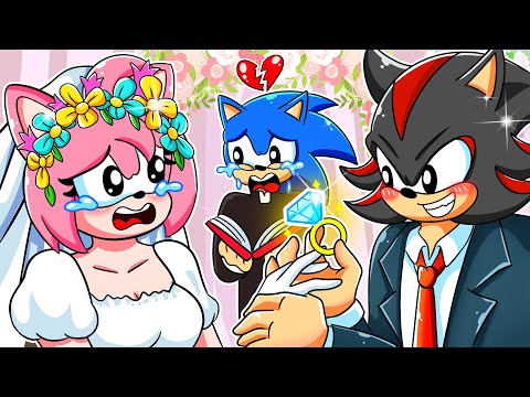 Amy Please Disagree!! - Sonic's Sad Love Story - Sonic the Hedgehog 3 Animation