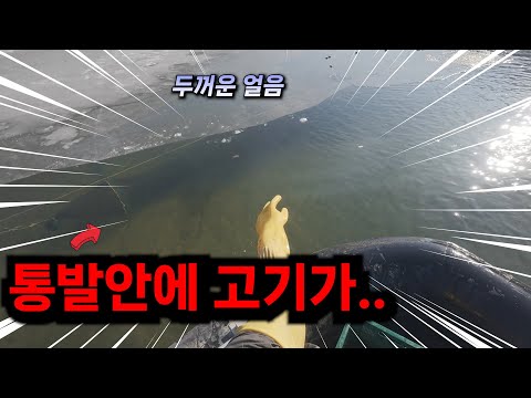 얼음 밑 통발에 고기가 많이 들어있는데 애매하게 얼어버렸다! 저걸 어떻게 꺼낼까요..