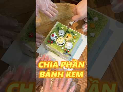 CHIA TÀI SẢN SAU SINH NHẬT