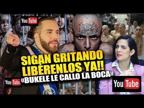 😱BUKELE SE PUSO FURI0S0: "SIGAN GR1TAND0 ¡LIBÉRENLOS YA!, LA SEGURIDAD NO SE NEGOCIA" SINVERGÜ3NZAS