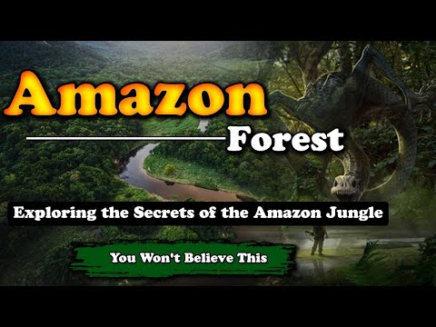 Exploring the Secrets of the Amazon Jungle - You Won't Believe This