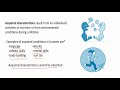 Genetic Variation and Inheritance Concepts