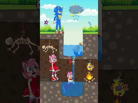 TOP 3 Funny Animation about Sonic and Amy - Episode 72 | 😂😂😂 #shorts #animation #story