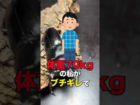 挟む力 人に例えると… #クワガタ #飼育