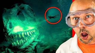 The most strange sea creatures ever found