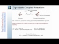 Biochemical Reactions and Thermodynamics