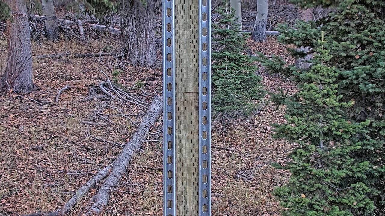 Deer Valley Snowstake