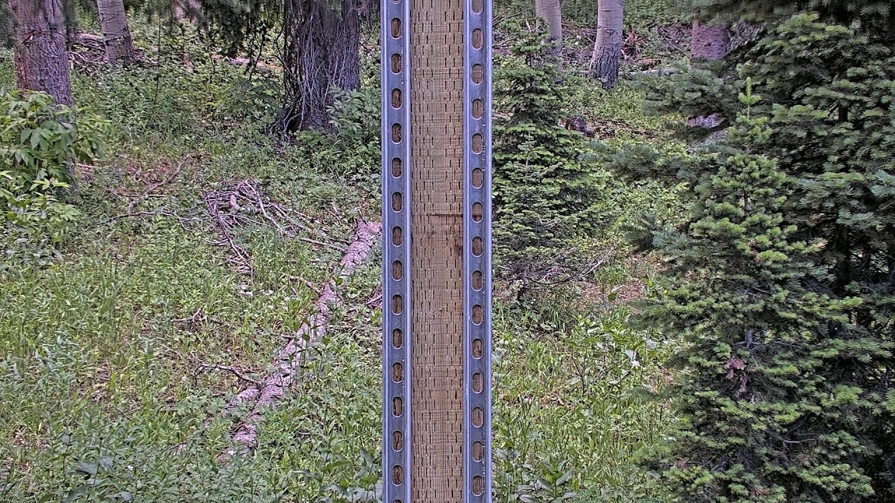 Deer Valley Snowstake
