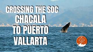 Whales EVERYWHERE in Banderas Bay! | SV Ramble On