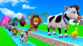 Long Slide Game With Cow Elephant Gorilla Hippopotamus Tiger 3d Animal Game Funny 3d Animals