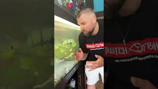 НЕ Е ВЪЗКРЪСНАЛ!!! #twitchfishing #####twitchfishingshop #риболов