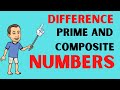 Understanding Prime and Composite Numbers
