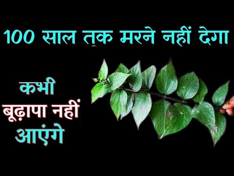 घुटनों में gap + घुटनों की ग्रीस  बढ़ाने का आसान तरीका Joint pain बिल्कुल ठीक knee pain jodo may dard
