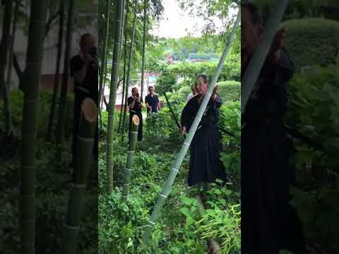 The power of Japanese swords.KATANA／【神業】孟宗竹を一刀両断！  #日本拳法空手道 #katana  #japan  #samurai  #japão