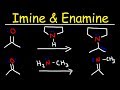Formation and Reduction of Enamines and Imines