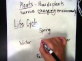 Plant Life Cycles and Adaptations