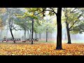 Seasons and Emotions Analysis
