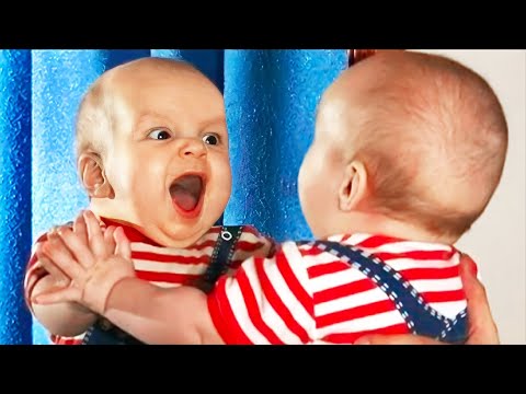 Reations of Baby is the BEST - Funny and Cute Babies Video || Cool Peachy🍑