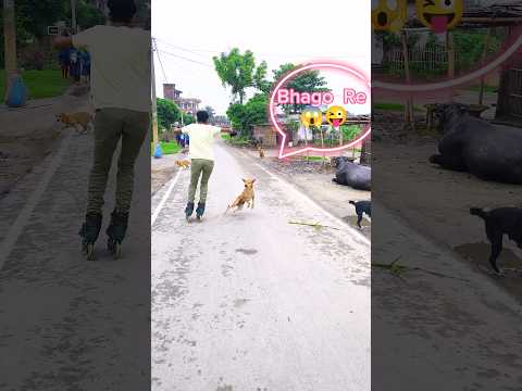 Bhago Re 😂😱 #shorts #skating #ytshorts #funny #skaterboy #girlreaction #youtubeshorts
