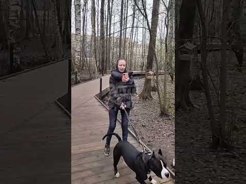 #кудрово #спб