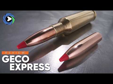 GECO EXPRESS | REVIEW