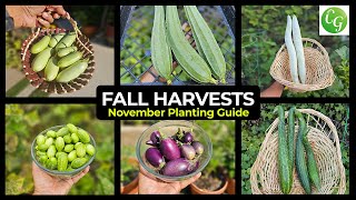 November Gardening Guide: What to Plant & Fall Harvest Bounty!