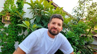 ¡Mi terraza NUNCA había estado TAN VERDE! 🌱✨ Vlog verde