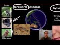 Physiological Responses and Feedback Mechanisms