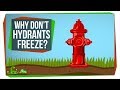 Understanding Fire Hydrants and SciShow Finds