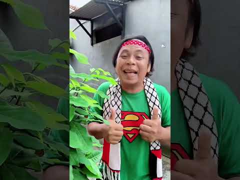 video kocak dan gokil @suciptomartinreal / Ada Mobil Telolet #shorts