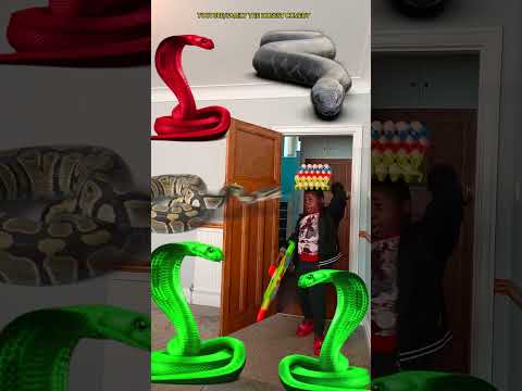 Animal funny video Anaconda snake python in my house in real life bhoot wala usa #bhojpuri #vfx p1