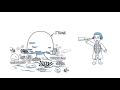Environmental Changes and Coral Conservation